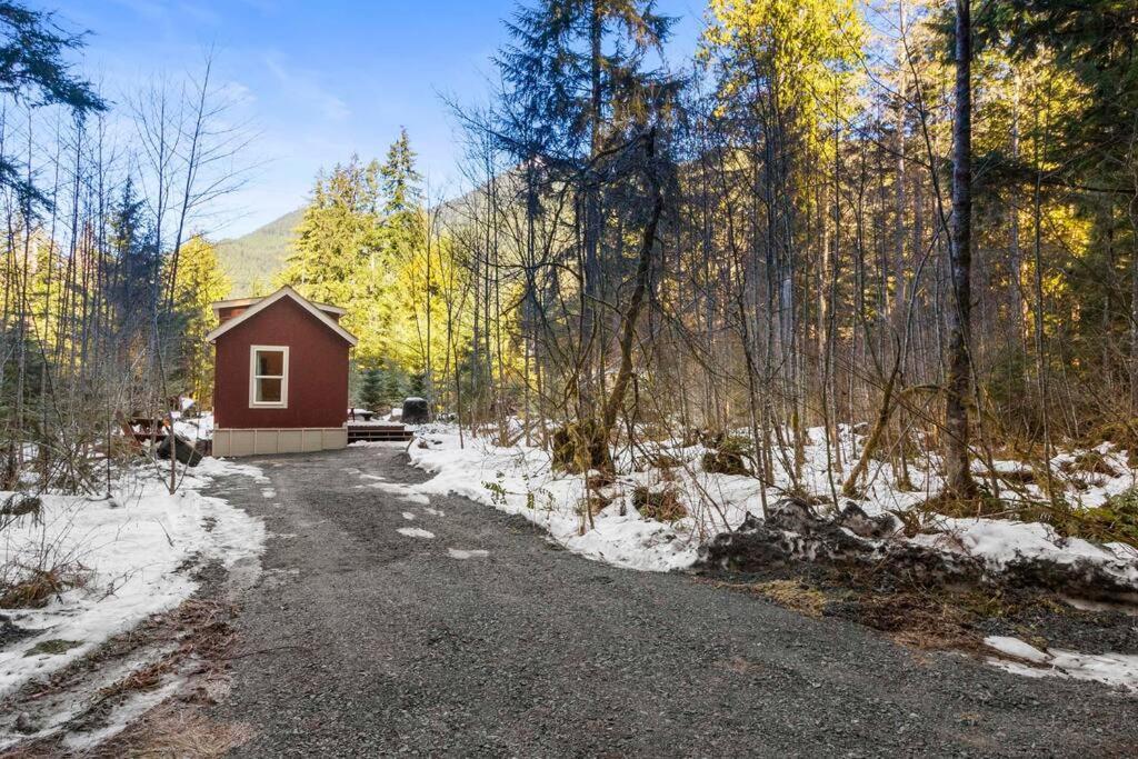 Cozy Tiny Home Steps Away From Mt. Rainier Ashford Luaran gambar